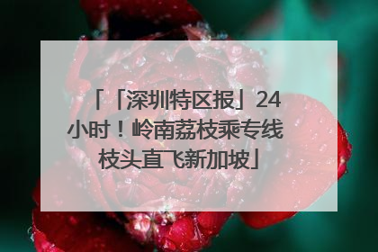 「深圳特区报」24小时！岭南荔枝乘专线 枝头直飞新加坡
