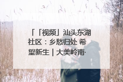 「视频」汕头东湖社区：乡愁归处 希望新生｜大美岭南·百村焕新记