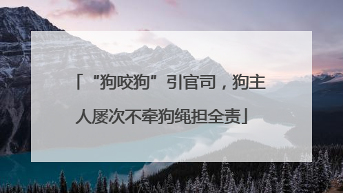 “狗咬狗”引官司，狗主人屡次不牵狗绳担全责