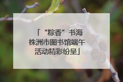 “粽香”书海 株洲市图书馆端午活动精彩纷呈