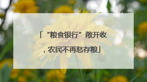 “粮食银行”敞开收，农民不再愁存粮