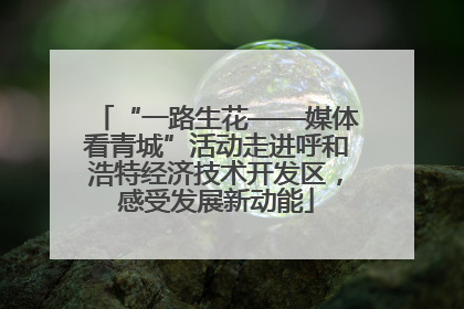“一路生花——媒体看青城”活动走进呼和浩特经济技术开发区，感受发展新动能