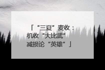 “三夏”麦收：机收“大比武” 减损论“英雄”