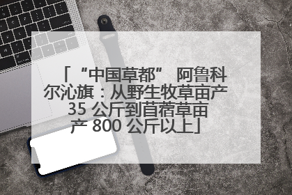 “中国草都” 阿鲁科尔沁旗：从野生牧草亩产 35 公斤到苜蓿草亩产 800 公斤以上