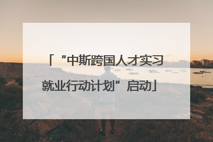 “中斯跨国人才实习就业行动计划”启动