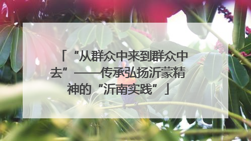 “从群众中来到群众中去”——传承弘扬沂蒙精神的“沂南实践”