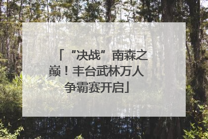 “决战”南森之巅！丰台武林万人争霸赛开启
