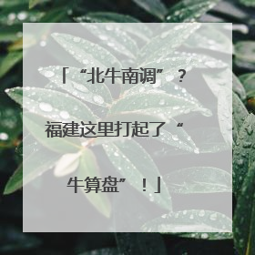 “北牛南调”？福建这里打起了“牛算盘”！