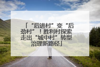 “后进村”变“后劲村”！胜利村探索走出“城中村”转型治理新路径