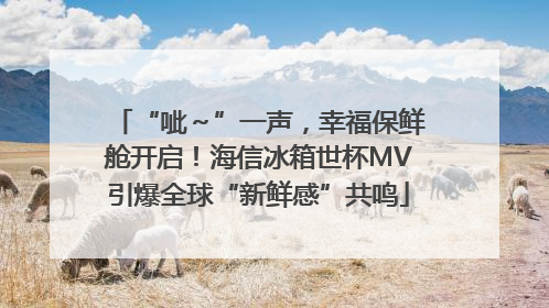 “呲～”一声，幸福保鲜舱开启！海信冰箱世杯MV引爆全球“新鲜感”共鸣