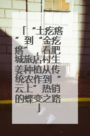 “土疙瘩”到“金疙瘩”，看肥城旅店村生姜种植从传统农作到“云上”热销的蝶变之路