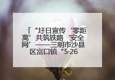 “圩日宣传‘零距离’共筑铁路‘安全网’——三明市沙县区富口镇“5·26我爱路“主题宣传活动成效显著