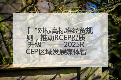 “对标高标准经贸规则，推动RCEP提质升级”——2025RCEP区域发展媒体智库论坛举行专题对话