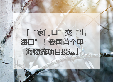 “家门口”变“出海口”！我国首个里海物流项目投运