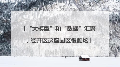 “大模型”和“数据”汇聚，经开区这座园区很酷炫
