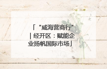 “威海营商行”｜经开区：赋能企业扬帆国际市场