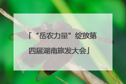 “岳农力量”绽放第四届湖南旅发大会
