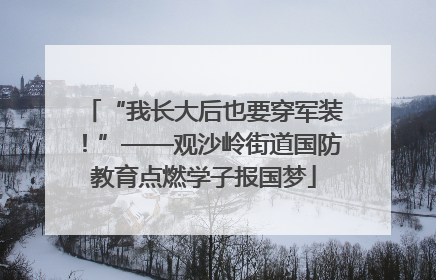 “我长大后也要穿军装！”——观沙岭街道国防教育点燃学子报国梦