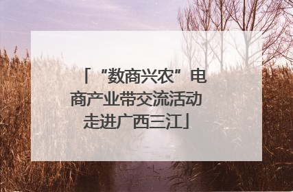“数商兴农”电商产业带交流活动走进广西三江