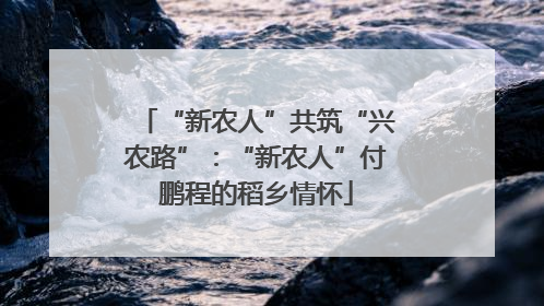 “新农人”共筑“兴农路”：“新农人”付鹏程的稻乡情怀