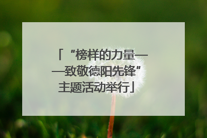 “榜样的力量——致敬德阳先锋”主题活动举行