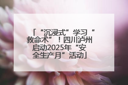 “沉浸式”学习“救命术”！四川泸州启动2025年“安全生产月”活动