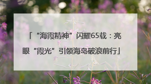 “海霞精神”闪耀65载：亮眼“霞光”引领海岛破浪前行