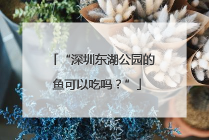 “深圳东湖公园的鱼可以吃吗？”