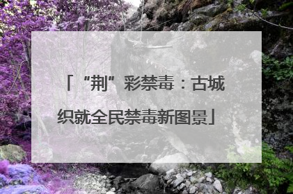 “荆”彩禁毒：古城织就全民禁毒新图景