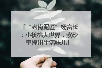 “老街泥匠”杨富长：小核桃大世界，紫砂里捏出生活味儿