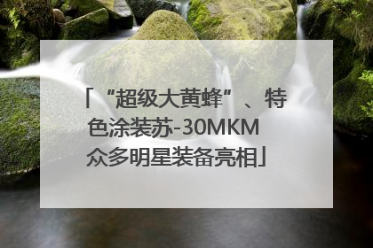 “超级大黄蜂”、特色涂装苏-30MKM 众多明星装备亮相