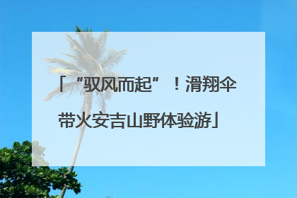 “驭风而起”！滑翔伞带火安吉山野体验游