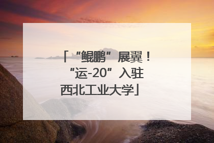 “鲲鹏”展翼！“运-20”入驻西北工业大学