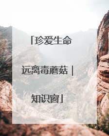 珍爱生命 远离毒蘑菇｜知识窗