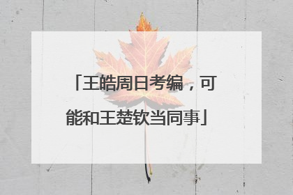 王皓周日考编，可能和王楚钦当同事