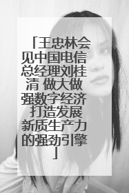 王忠林会见中国电信总经理刘桂清 做大做强数字经济 打造发展新质生产力的强劲引擎