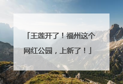 王莲开了！福州这个网红公园，上新了！