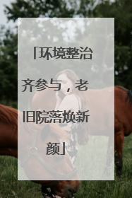 环境整治齐参与，老旧院落焕新颜