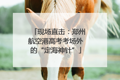 现场直击：郑州航空港高考考场外的“定海神针”