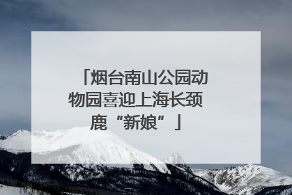 烟台南山公园动物园喜迎上海长颈鹿“新娘”