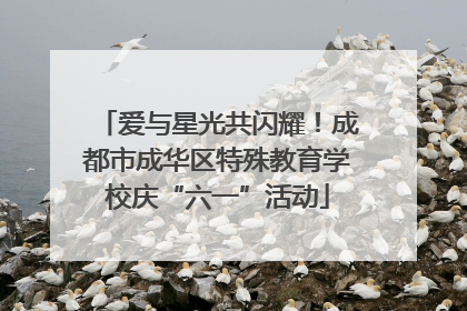 爱与星光共闪耀！成都市成华区特殊教育学校庆“六一”活动