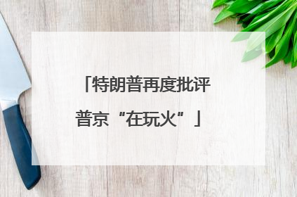 特朗普再度批评普京“在玩火”