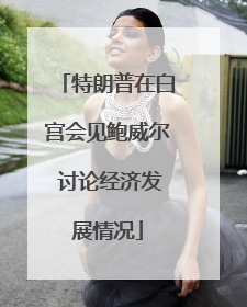 特朗普在白宫会见鲍威尔 讨论经济发展情况