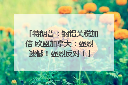 特朗普：钢铝关税加倍 欧盟加拿大：强烈遗憾！强烈反对！