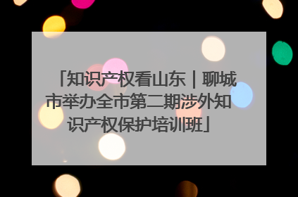 知识产权看山东｜聊城市举办全市第二期涉外知识产权保护培训班