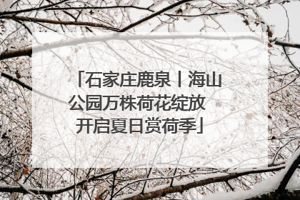 石家庄鹿泉丨海山公园万株荷花绽放 开启夏日赏荷季