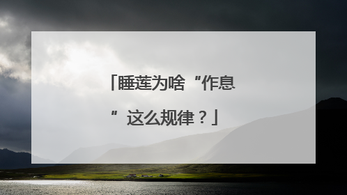 睡莲为啥“作息”这么规律？