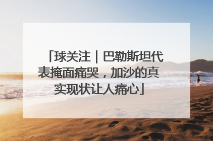 球关注｜巴勒斯坦代表掩面痛哭，加沙的真实现状让人痛心