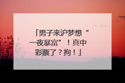 男子来沪梦想“一夜暴富”！真中彩票了？拘！