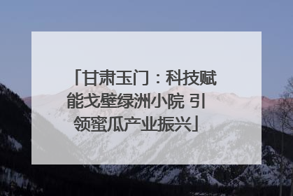 甘肃玉门：科技赋能戈壁绿洲小院 引领蜜瓜产业振兴